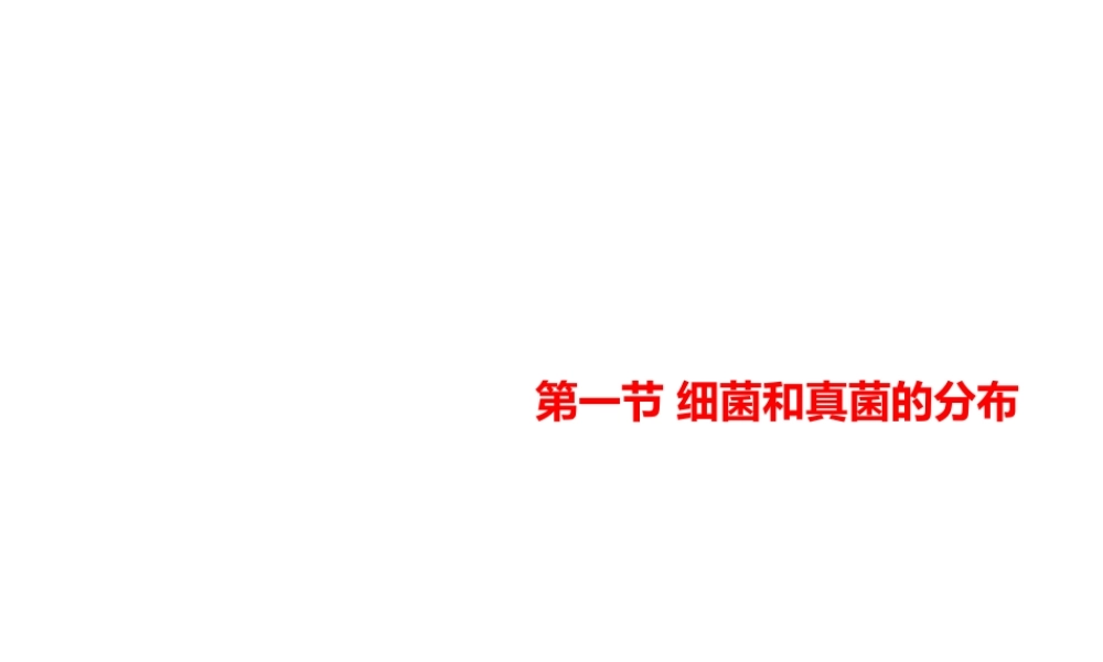 八年级生物上册 第五单元 第四章 第一节 细菌和真菌的分布教学课件 （新版）新人教版-（新版）新人教版初中八年级上册生物课件