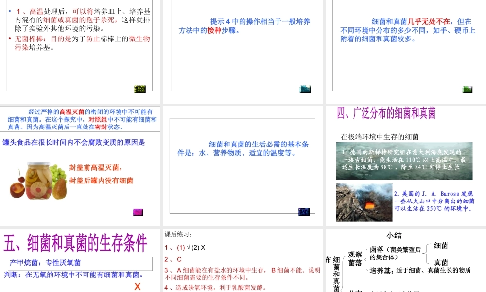 八年级生物上册 第五单元 第四章 第一节 细菌和真菌的分布教学课件 （新版）新人教版-（新版）新人教版初中八年级上册生物课件
