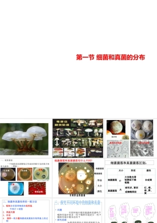 八年级生物上册 第五单元 第四章 第一节 细菌和真菌的分布教学课件 （新版）新人教版-（新版）新人教版初中八年级上册生物课件