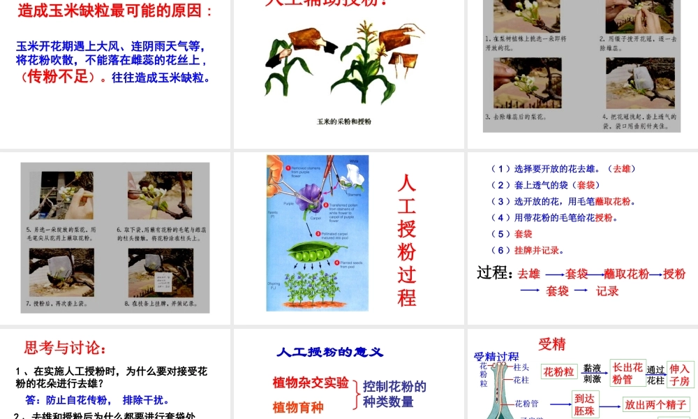 八年级生物上册 第四单元 物种的延续 第一章 绿色开花植物的一生 第二节 传粉与受精课件（新版）济南版-（新版）济南版初中八年级上册生物课件