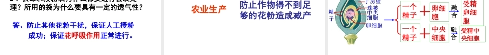 八年级生物上册 第四单元 物种的延续 第一章 绿色开花植物的一生 第二节 传粉与受精课件（新版）济南版-（新版）济南版初中八年级上册生物课件