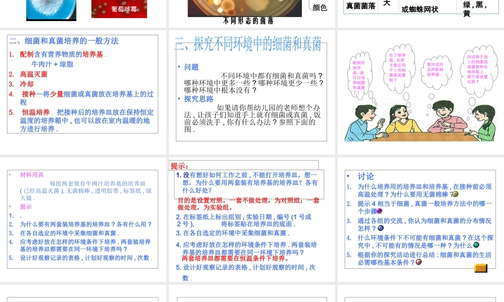 八年级生物上册 第五单元 第四章 第一节 细菌和真菌的分布教学课件 （新版）新人教版-（新版）新人教级上册生物课件