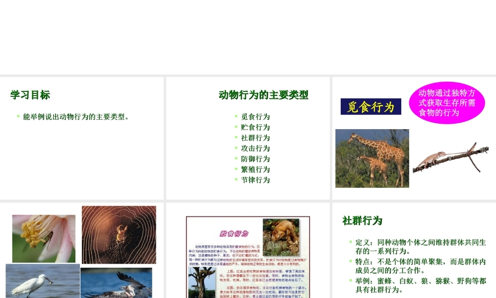 八年级生物上册 第十七章 第一节 动物的行为主要类型课件 （新版）苏教版