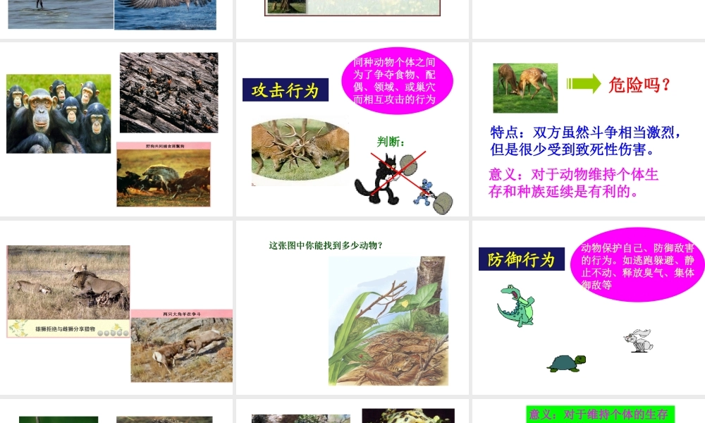 八年级生物上册 第十七章 第一节 动物的行为主要类型课件 （新版）苏教版