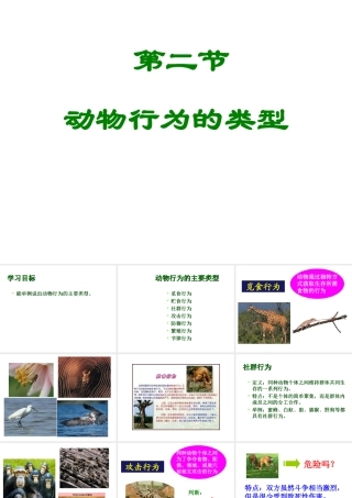 八年级生物上册 第十七章 第一节 动物的行为主要类型课件 （新版）苏教版