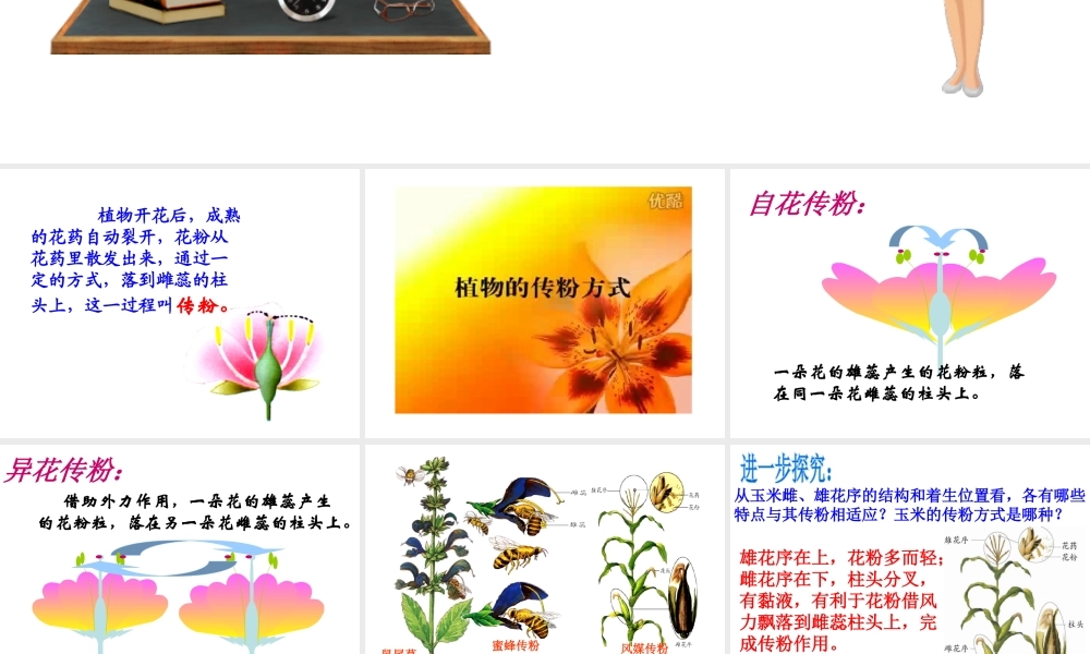 八年级生物上册 第四单元 物种的延续 第一章 绿色开花植物的一生 第二节 传粉与受精课件（新版）济南版-（新版）济南级上册生物课件