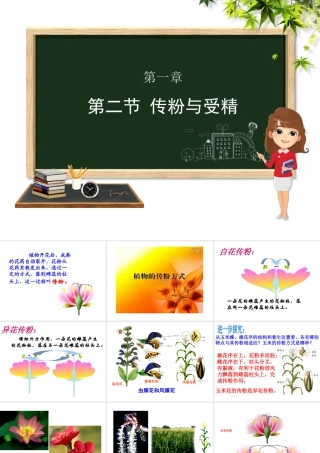 八年级生物上册 第四单元 物种的延续 第一章 绿色开花植物的一生 第二节 传粉与受精课件（新版）济南版-（新版）济南级上册生物课件