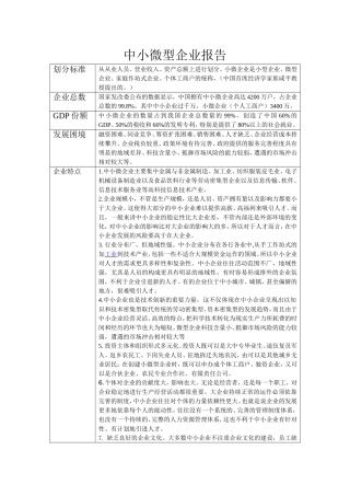 中小微型企业报告