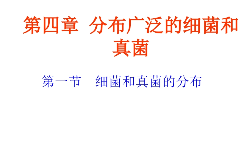 八年级生物上册 第五单元 第四章 第一节 细菌和真菌的分布课件 （新版）新人教版-（新版）新人教版初中八年级上册生物课件