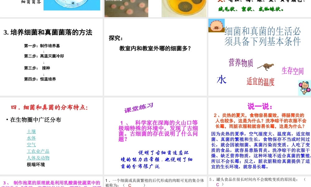 八年级生物上册 第五单元 第四章 第一节 细菌和真菌的分布课件 （新版）新人教版-（新版）新人教版初中八年级上册生物课件