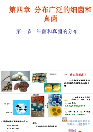 八年级生物上册 第五单元 第四章 第一节 细菌和真菌的分布课件 （新版）新人教版-（新版）新人教版初中八年级上册生物课件