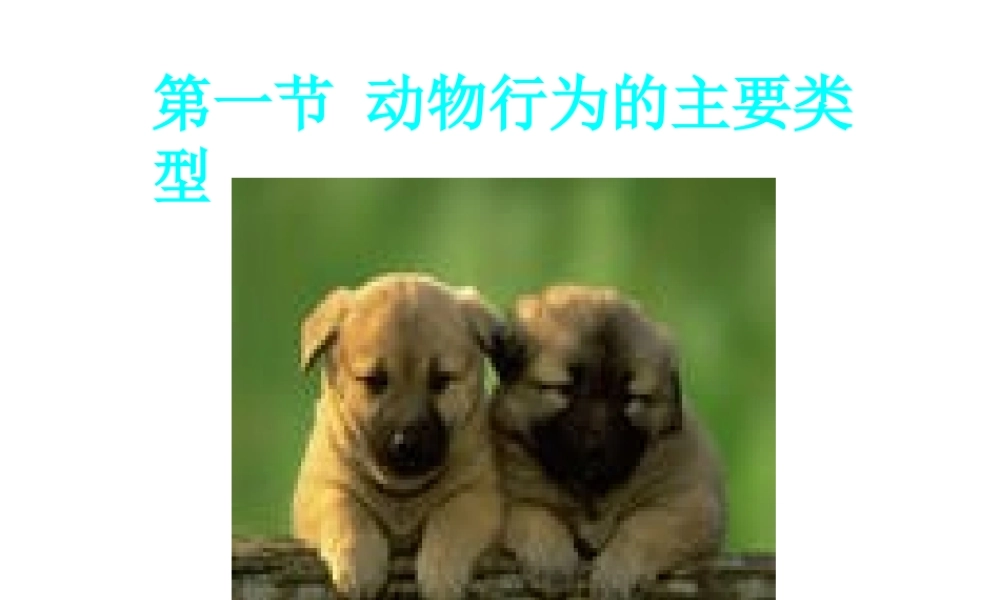 八年级生物上册 第十七章 第一节 动物行为的主要类型课件 苏教版