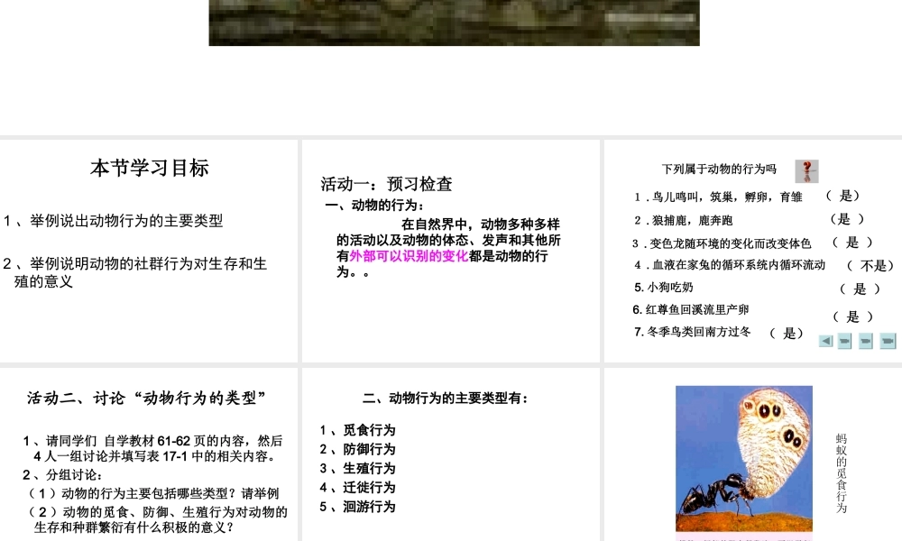 八年级生物上册 第十七章 第一节 动物行为的主要类型课件 苏教版