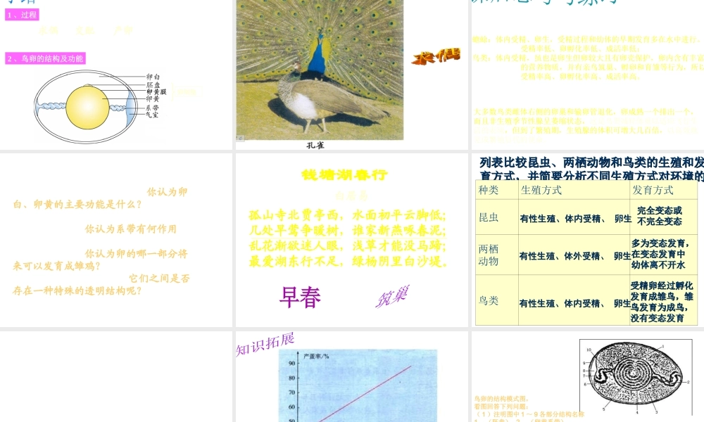 八年级生物上册《鸟类的生殖与发育》课件 苏教版
