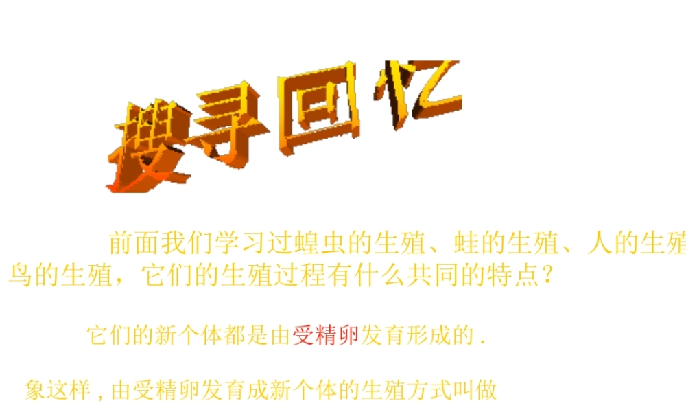 八年级生物上册《其他生物的生殖》课件2 北师大版