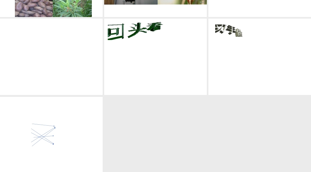 八年级生物上册《其他生物的生殖》课件2 北师大版