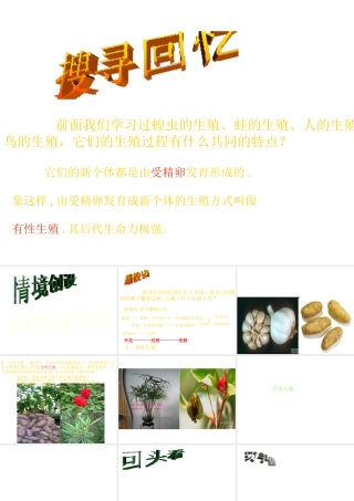 八年级生物上册《其他生物的生殖》课件2 北师大版