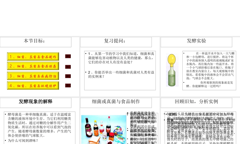 八年级生物上册 第五单元 第四章 第五节 人类对细菌和真菌的利用教学课件 （新版）新人教版-（新版）新人教版初中八年级上册生物课件