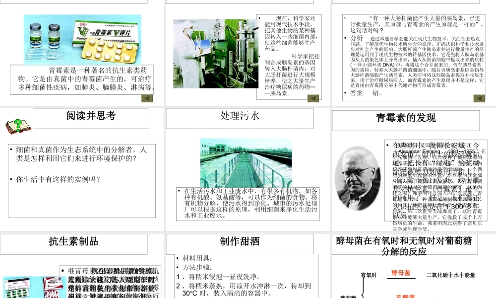 八年级生物上册 第五单元 第四章 第五节 人类对细菌和真菌的利用教学课件 （新版）新人教版-（新版）新人教版初中八年级上册生物课件