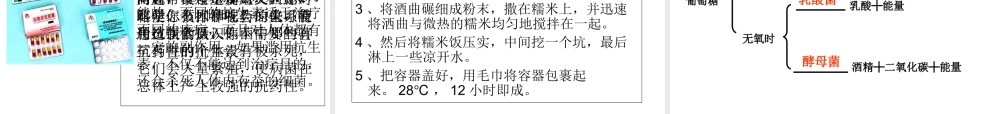 八年级生物上册 第五单元 第四章 第五节 人类对细菌和真菌的利用教学课件 （新版）新人教版-（新版）新人教版初中八年级上册生物课件