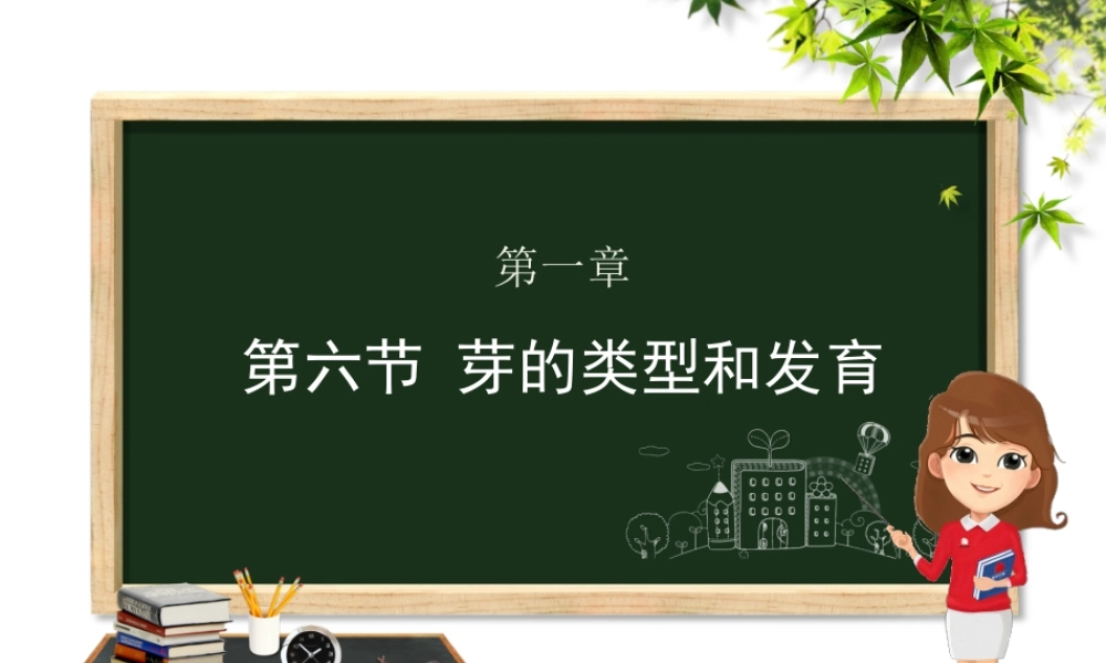 八年级生物上册 第四单元 物种的延续 第一章 绿色开花植物的一生 第六节 芽的类型和发育课件（新版）济南版-（新版）济南级上册生物课件