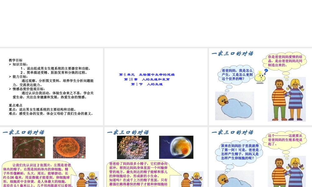八年级生物上册《人的生殖》课件2 苏科版