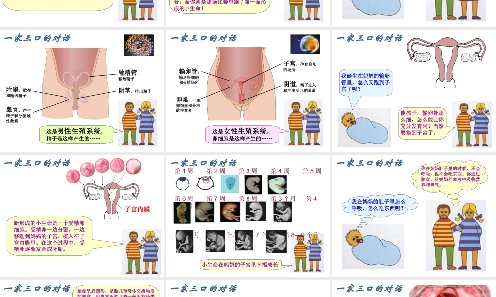 八年级生物上册《人的生殖》课件2 苏科版