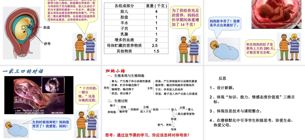 八年级生物上册《人的生殖》课件2 苏科版