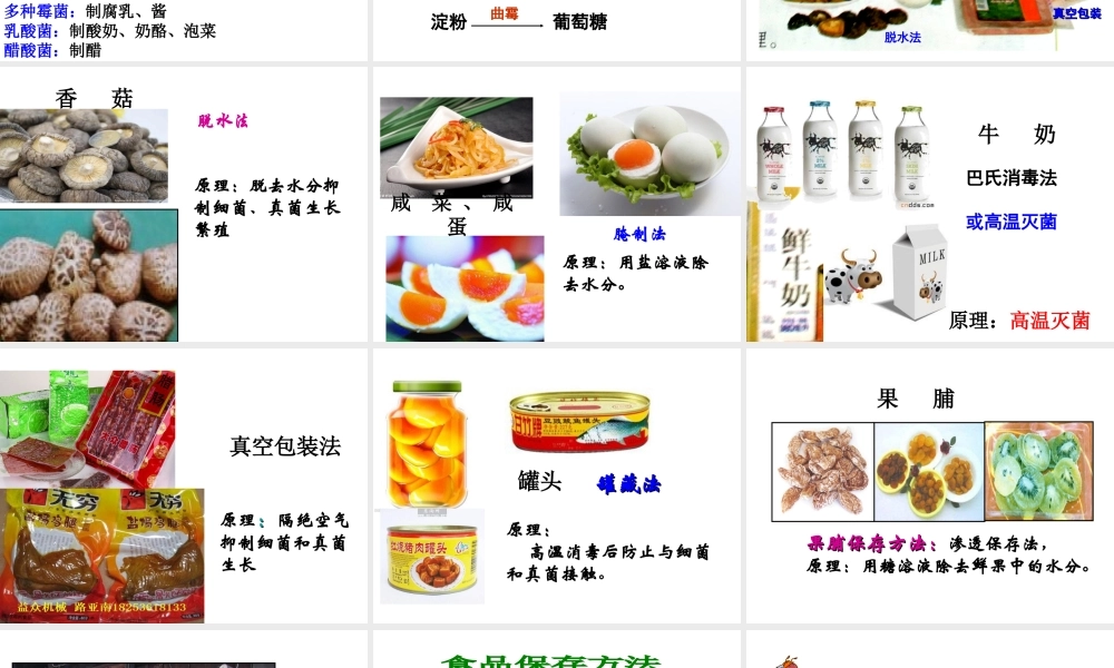 八年级生物上册 第五单元 第四章 第五节 人类对细菌和真菌的利用课件 （新版）新人教版-（新版）新人教版初中八年级上册生物课件