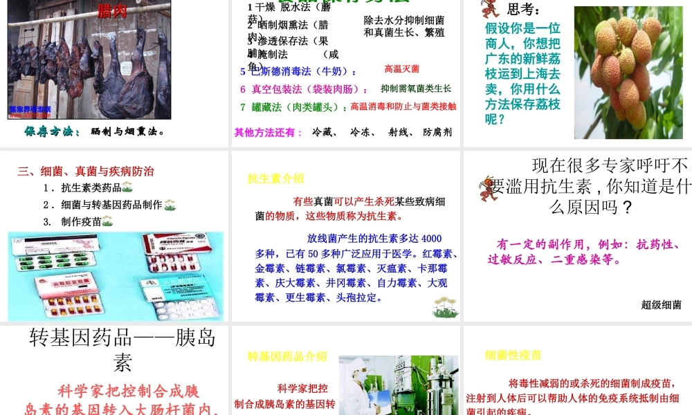 八年级生物上册 第五单元 第四章 第五节 人类对细菌和真菌的利用课件 （新版）新人教版-（新版）新人教版初中八年级上册生物课件