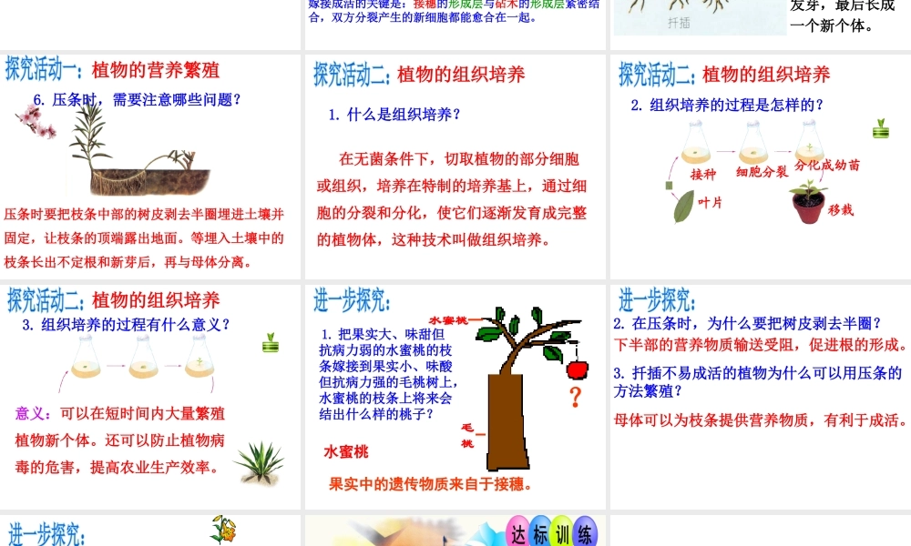 八年级生物上册 第四单元 物种的延续 第一章 绿色开花植物的一生 第七节 植物的无性生殖课件（新版）济南版-（新版）济南版初中八年级上册生物课件