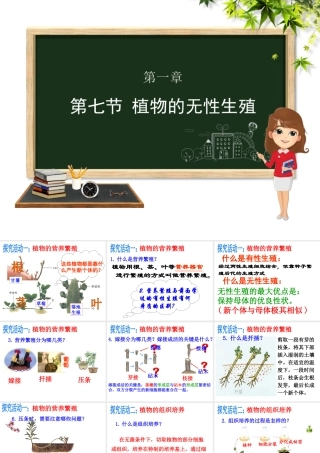 八年级生物上册 第四单元 物种的延续 第一章 绿色开花植物的一生 第七节 植物的无性生殖课件（新版）济南版-（新版）济南版初中八年级上册生物课件