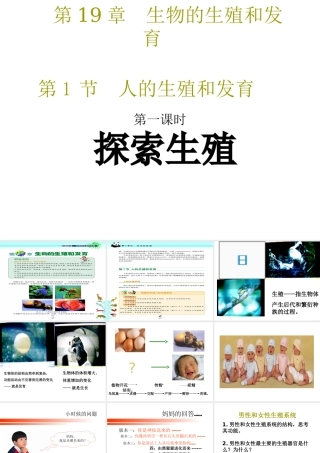 八年级生物上册《人的生殖和发育》课件1 北师大版