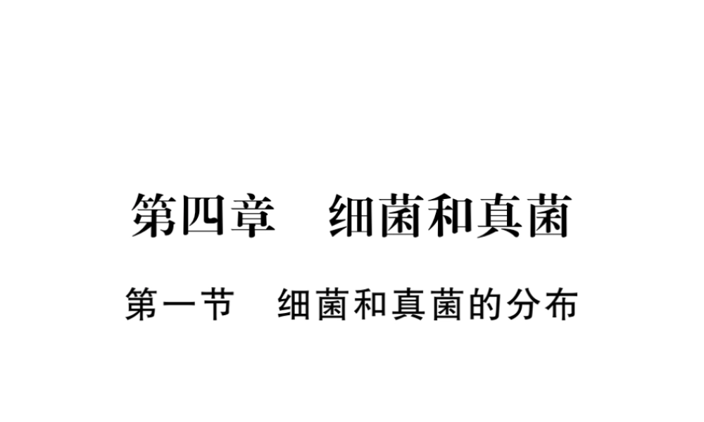 八年级生物上册 第五单元 第四章 第一节 细菌和真菌的分布习题课件 （新版）新人教版-（新版）新人教版初中八年级上册生物课件