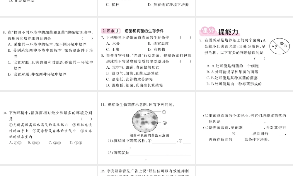 八年级生物上册 第五单元 第四章 第一节 细菌和真菌的分布习题课件 （新版）新人教版-（新版）新人教版初中八年级上册生物课件