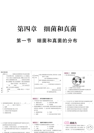 八年级生物上册 第五单元 第四章 第一节 细菌和真菌的分布习题课件 （新版）新人教版-（新版）新人教版初中八年级上册生物课件