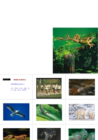 八年级生物上册 第十七章 动物的运动 第一、二节课件 苏教版