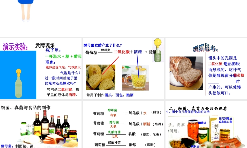 八年级生物上册 第五单元 第四章 第五节 人类对细菌和真菌的利用课件 （新版）新人教版-（新版）新人教级上册生物课件