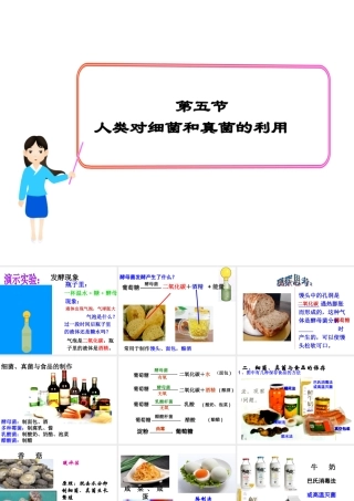 八年级生物上册 第五单元 第四章 第五节 人类对细菌和真菌的利用课件 （新版）新人教版-（新版）新人教级上册生物课件