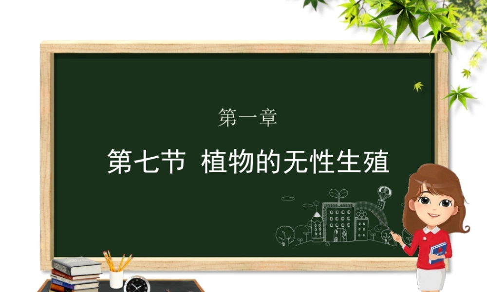 八年级生物上册 第四单元 物种的延续 第一章 绿色开花植物的一生 第七节 植物的无性生殖课件（新版）济南版-（新版）济南级上册生物课件