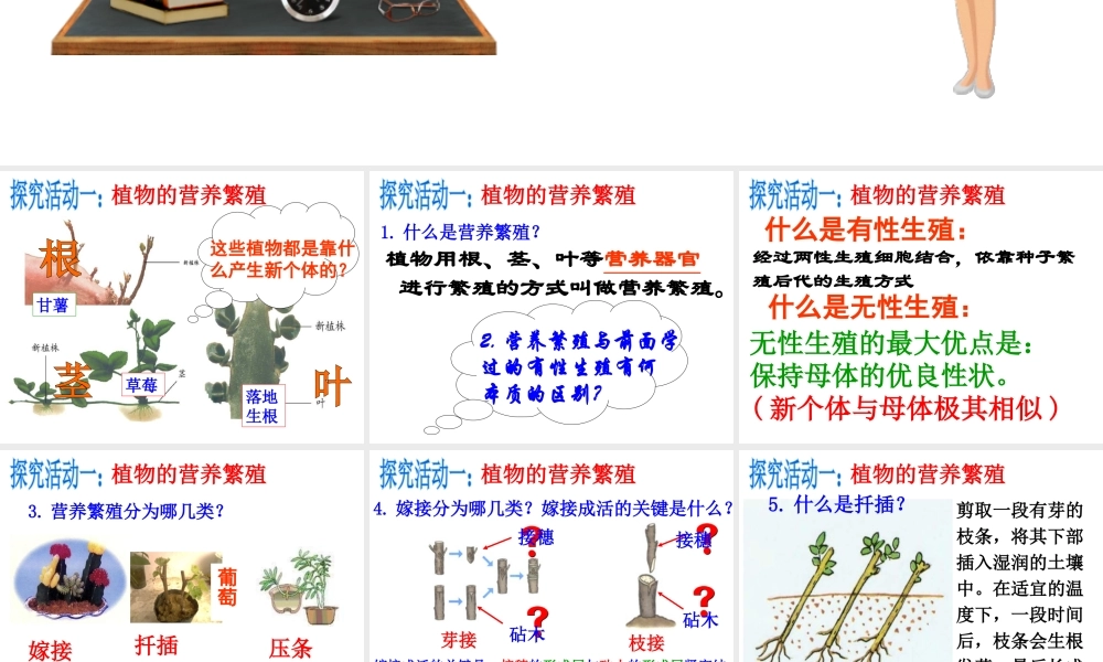 八年级生物上册 第四单元 物种的延续 第一章 绿色开花植物的一生 第七节 植物的无性生殖课件（新版）济南版-（新版）济南级上册生物课件