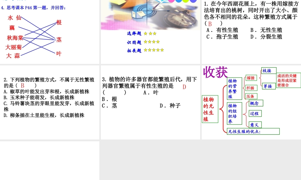 八年级生物上册 第四单元 物种的延续 第一章 绿色开花植物的一生 第七节 植物的无性生殖课件（新版）济南版-（新版）济南级上册生物课件