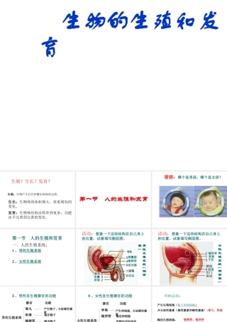 八年级生物上册《人的生殖和发育》课件2 北师大版