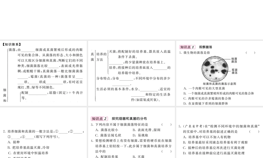 八年级生物上册 第五单元 第四章 第一节 细菌和真菌的分布习题课件 （新版）新人教版-（新版）新人教级上册生物课件