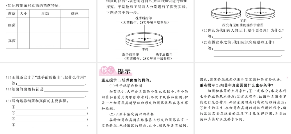 八年级生物上册 第五单元 第四章 第一节 细菌和真菌的分布习题课件 （新版）新人教版-（新版）新人教级上册生物课件