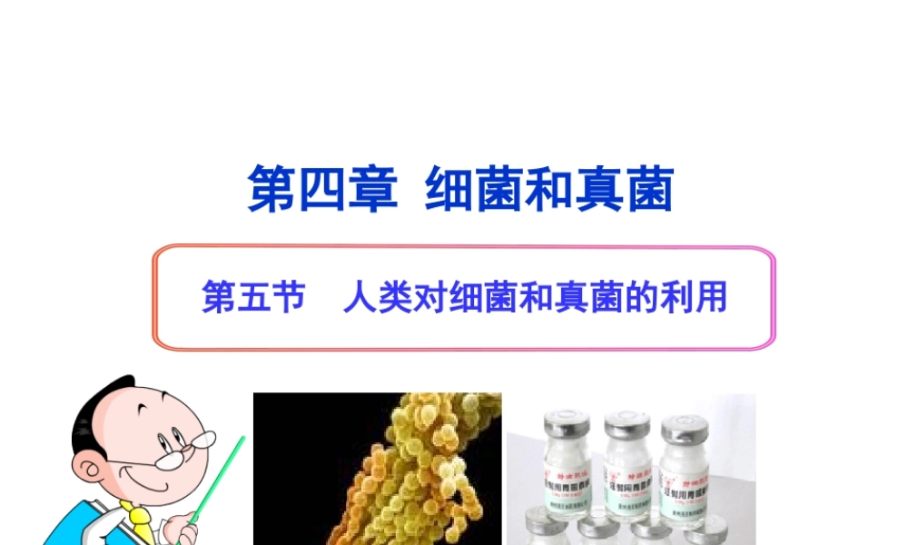八年级生物上册 第五单元 第四章 第五节 人类对细菌和真菌的利用课件 （新版）新人教版