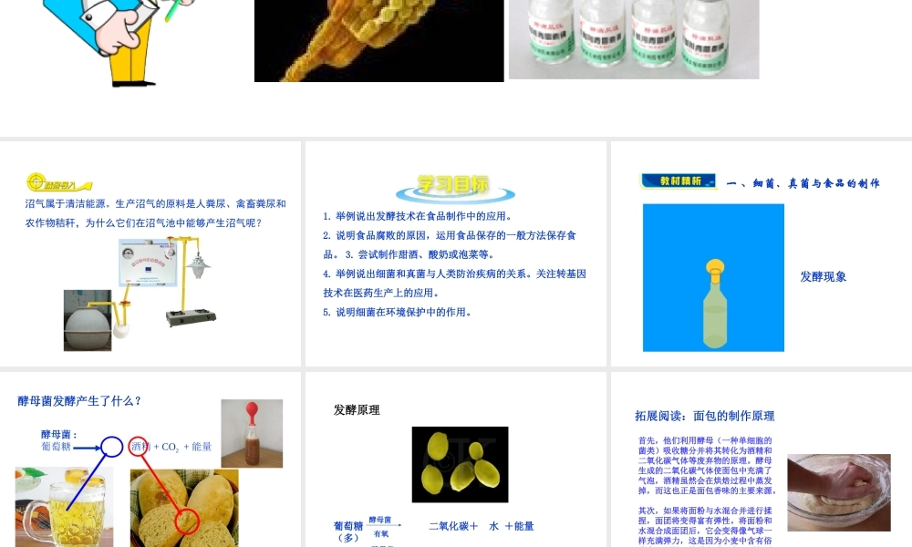 八年级生物上册 第五单元 第四章 第五节 人类对细菌和真菌的利用课件 （新版）新人教版