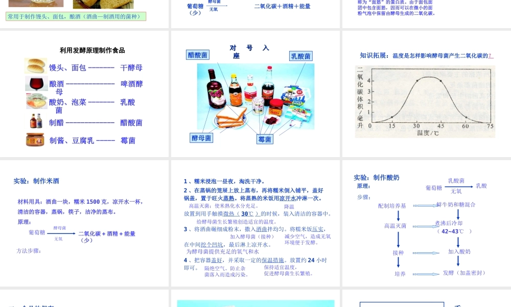 八年级生物上册 第五单元 第四章 第五节 人类对细菌和真菌的利用课件 （新版）新人教版