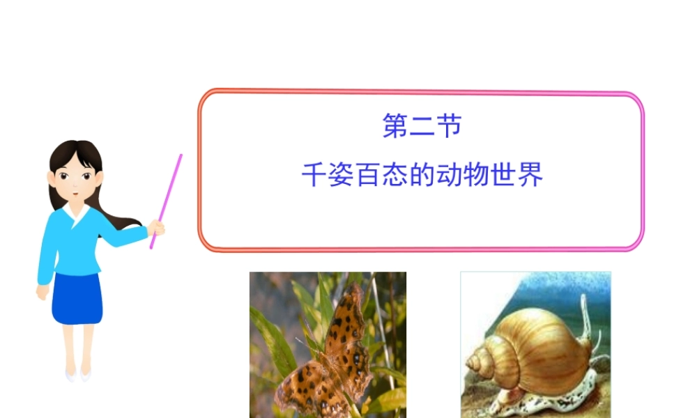 八年级生物上册 第十四章 第二节 千姿百态的动物世界课件 （新版）苏教版