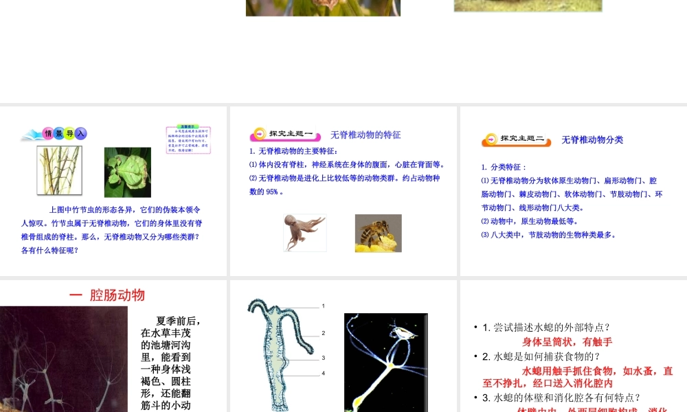 八年级生物上册 第十四章 第二节 千姿百态的动物世界课件 （新版）苏教版